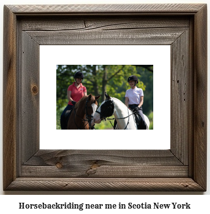 horseback riding near me in Scotia, New York